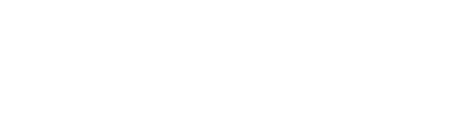 ARISE Intelligence